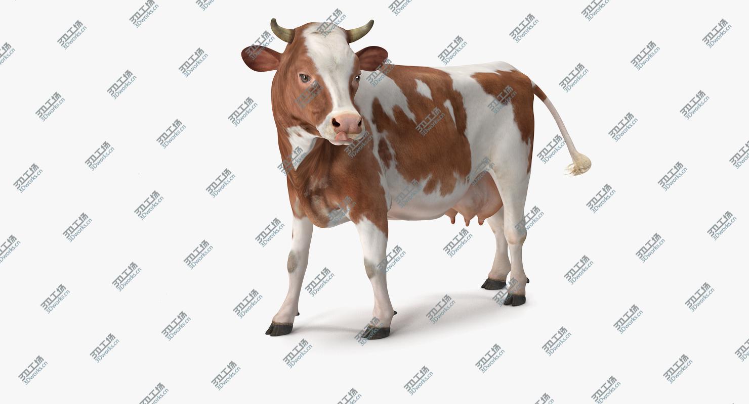 images/goods_img/202104092/3D model Red and White Cow/3.jpg